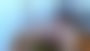 Valentine's Day Cam Show