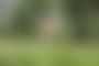 Naked in Nature