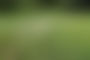 Naked in Nature
