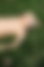 Naked in Nature