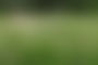 Naked in Nature