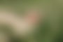 Naked in Nature