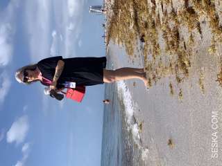 Miami Beach